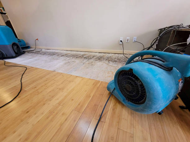 Professional Water Damage Repair technician working in Hillsville, PA
